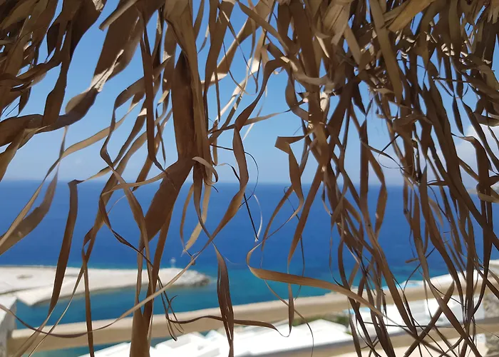 Gorgona Mykonos Town